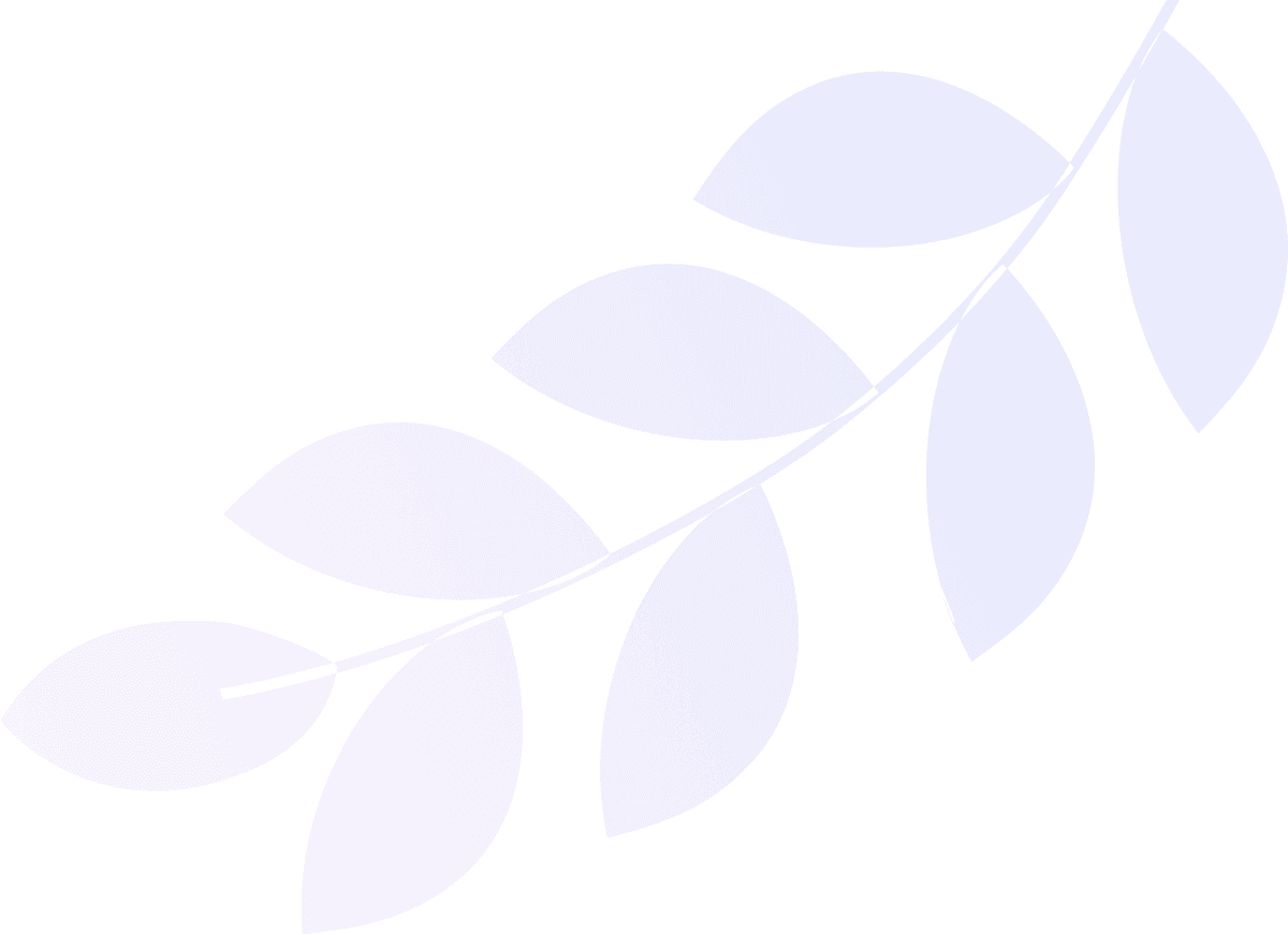 Shape Images